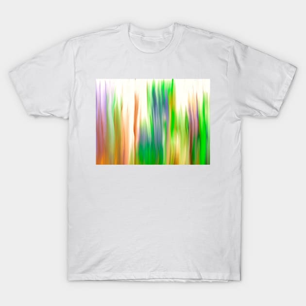 The Beautiful Veil Oil Painting Abstract T-Shirt by Overthetopsm